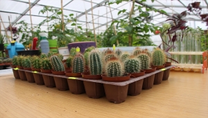 "Özel çocuklar" okullarındaki yeşil dünyalarında huzur buluyor