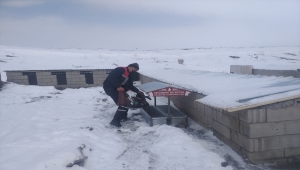 Seydişehir Belediyesi, sokak hayvanları için doğaya yem bıraktı