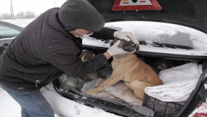 Sivas'ta kurdun köpeğe saldırması güvenlik kamerasına yansıdı