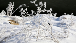 Sivas'ta soğuk hava etkisini sürdürüyor