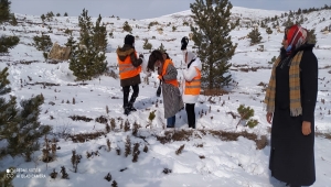 SİVDAK üyeleri doğaya yem bıraktı