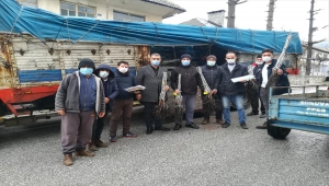 Derebucak'ta çiftçilere ceviz fidanı desteği