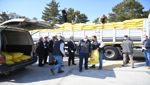 Kayseri'de çiftçilere 83,3 ton aspir tohumu dağıtıldı