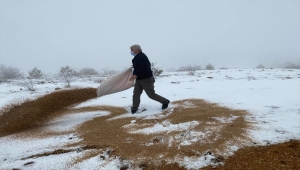 Kırıkkale'de yaban hayvanlarına 1 ton yem