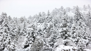 Konya-Antalya kara yolunda kar yağışı nedeniyle ulaşım güçlükle sağlanıyor