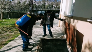 Nallıhan'da ilaçlama çalışmaları