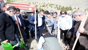AK Parti Kırıkkale İl Başkanlığından fidan dikim etkinliği
