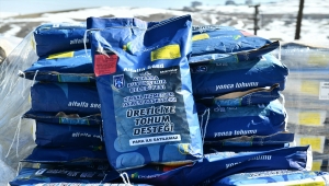 Ankara Büyükşehir Belediyesinden çiftçilere mısır ve yonca tohumu desteği