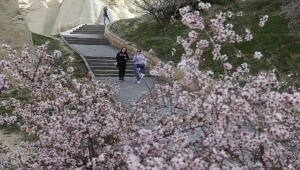 Bahar çiçekleri Kapadokya'ya renk kattı