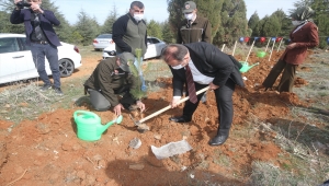 Beyşehir'de şehit ve gaziler için fidanlar toprakla buluştu