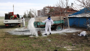 Çubuk'ta ahır ve kümeslerde dezenfekte çalışmaları 