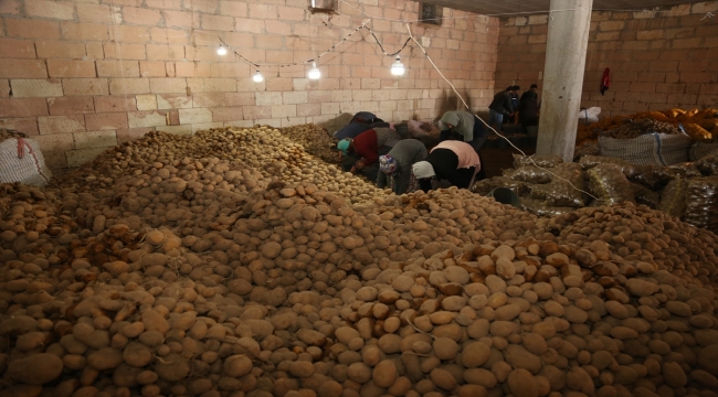 Depoda kalan patates, TMO tarafından üreticiden alınıp ihtiyaç sahiplerinin sofrasına ulaştırılıyor