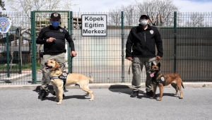 Emniyetin hassas burunları "Jack" ve "Athena" zehir tacirlerine geçit vermiyor