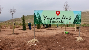 Eskişehir'de CHP Kadın Kolları tarafından "Yaşam Hak Ormanı" oluşturuldu