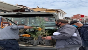 Güdül'de fidan dağıtıldı