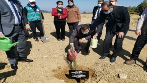 Hükümlüler, sağlık çalışanları anısına 3 günde 2 bin 870 fidan dikti