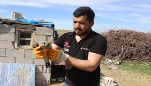 Karapınar'da bulunan yaralı şahin, tedavisinin ardından doğaya salındı