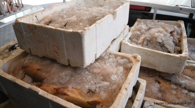 Kayseri'de kaçak avlanan 1250 kilogram sazan ve yayın balığı ele geçirildi
