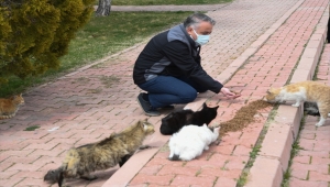 Kayseri İl Tarım ve Orman Müdürlüğü sokak hayvanları için yaşam alanlarına mama bıraktı