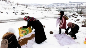 Kayseri ve Suriyeli gençler yaban hayvanları için doğaya yem bıraktı