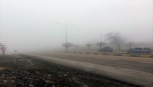 Keskin'de yoğun sis etkili oldu
