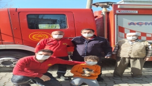 Kırıkkale'de boş su kuyusuna düşen kedi yavrusunu itfaiye kurtardı