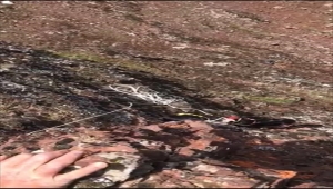 Kırıkkale'de kayalıkta mahsur kalan keçi AFAD ekiplerince kurtarıldı