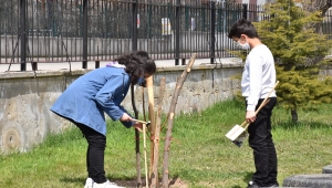 Kızılcahamam'daki Perihan Erdoğan Ortaokulu bahçesine şehitler anısına meyve ağacı fidanı dikildi