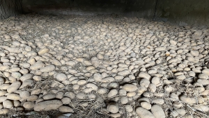 Patates alımı yapılan Niğdeli çiftçiler, Cumhurbaşkanı Erdoğan'a teşekkür etti