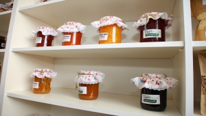 Sivas'ta kadın kooperatiflerine Ticaret Bakanlığınca 750 bin lira hibe desteği