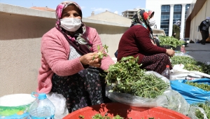 Topladığı otları pazarda satarak aile bütçesine katkı sağlıyor