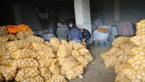 Toprak Mahsulleri Ofisi, ihtiyaç sahiplerine dağıtılacak patatesin alımına başladı
