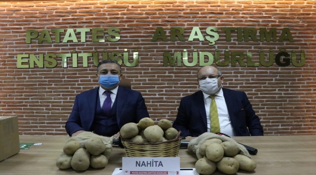 Yerli patates çeşidi "Nahita" Avrupa yolunda