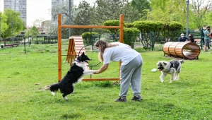 Ankara Büyükşehir Belediyesinden evcil hayvanlar için park