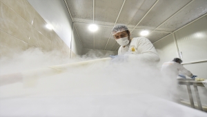 Ankara Halk Ekmek Fabrikası'nda günlük 400 kilogram baklava üretiliyor