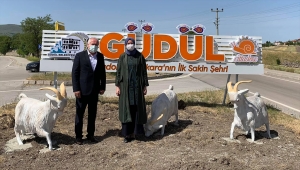 Ankara Milletvekili Zeynep Yıldız, Güdül'de incelemelerde bulundu