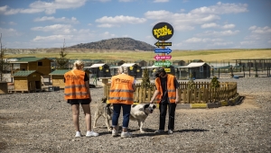 Başkentte hayvanseverlerin inşa ettiği 1000 köpek kapasiteli "Patipark" açıldı