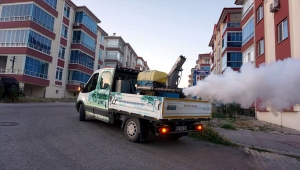 Beypazarı Belediyesinden haşereyle mücadele çalışması