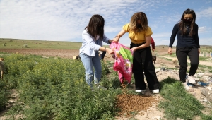 Çubuk'ta "tam kapanma" günlerinde sokak hayvanları unutulmuyor
