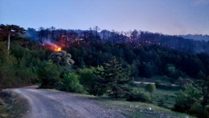 GÜNCELLEME 2 - Eskişehir'de ormanlık alanda çıkan yangın kontrol altına alındı
