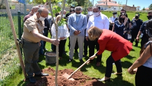 "Hacı Bektaş Veli Yılı" etkinlikleri kapsamında 500 fidan toprakla buluşturuldu