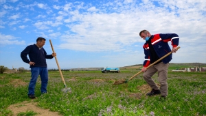 Kahramankazan'da meyveleri ihtiyaç sahiplerine dağıtılacak 3 bin 500 fidan toprakla buluşturuldu