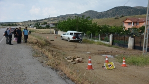 Kırıkkale'de elektrik akımına kapılan 15 koyundan 4'ü telef oldu