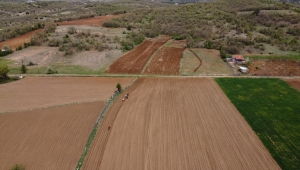 Konya'da çiftçilerin, binek hayvanlarıyla şeker fasulyesi ekim mesaisi başladı