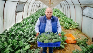 Konya'da salgında hobi amaçlı sera kuran mühendis, sebze talebine yetişemez duruma geldi