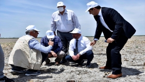 KOP İdaresinin destek verdiği Şeritvari Sürüm Tekniği, çiftçilerin yüzünü güldürdü