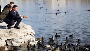 Mogan Gölü'nde silahla vurulduğu tespit edilen flamingo bulundu