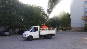 Nallıhan Belediyesinden haşere ile mücadele çalışmaları 