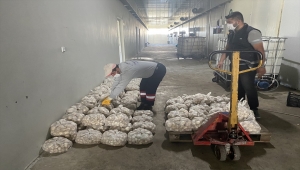 Nevşehir Belediyesi üreticilerden aldığı sebzeyi vatandaşa dağıttı