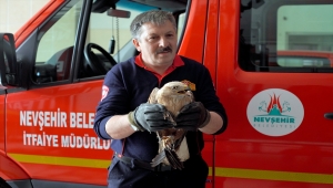 Nevşehir'de binanın havalandırma boşluğuna sıkışan şahin itfaiye ekiplerince kurtarıldı